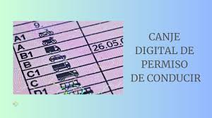 Canje de carnet de conducir extranjero 2026