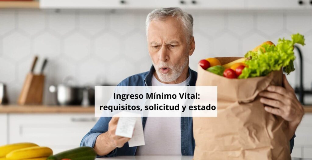 ingreso-minimo-vital-2026